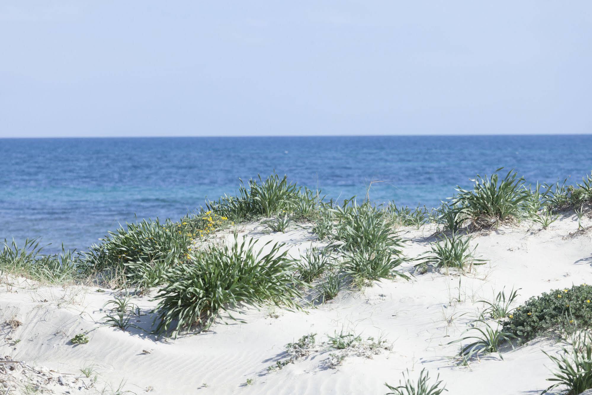 Spiaggiabella Beach Hotel Del Silenzio By Ria Hotels トッレ・リナルダ エクステリア 写真